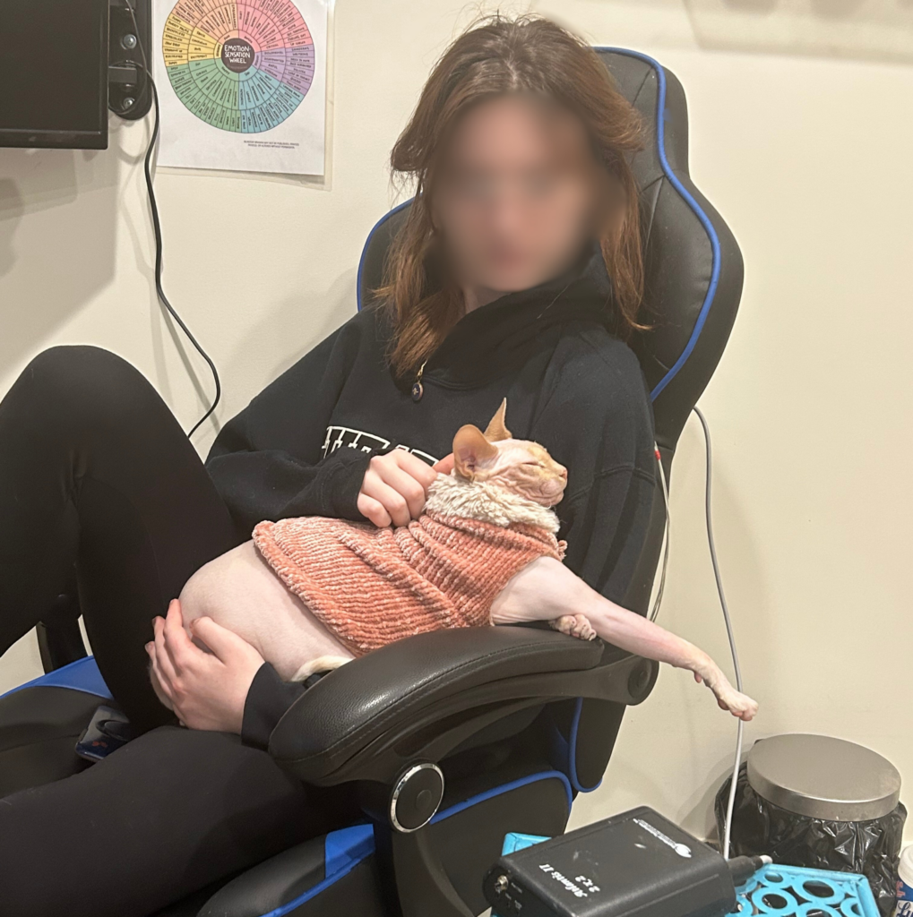 woman holding cat in lap